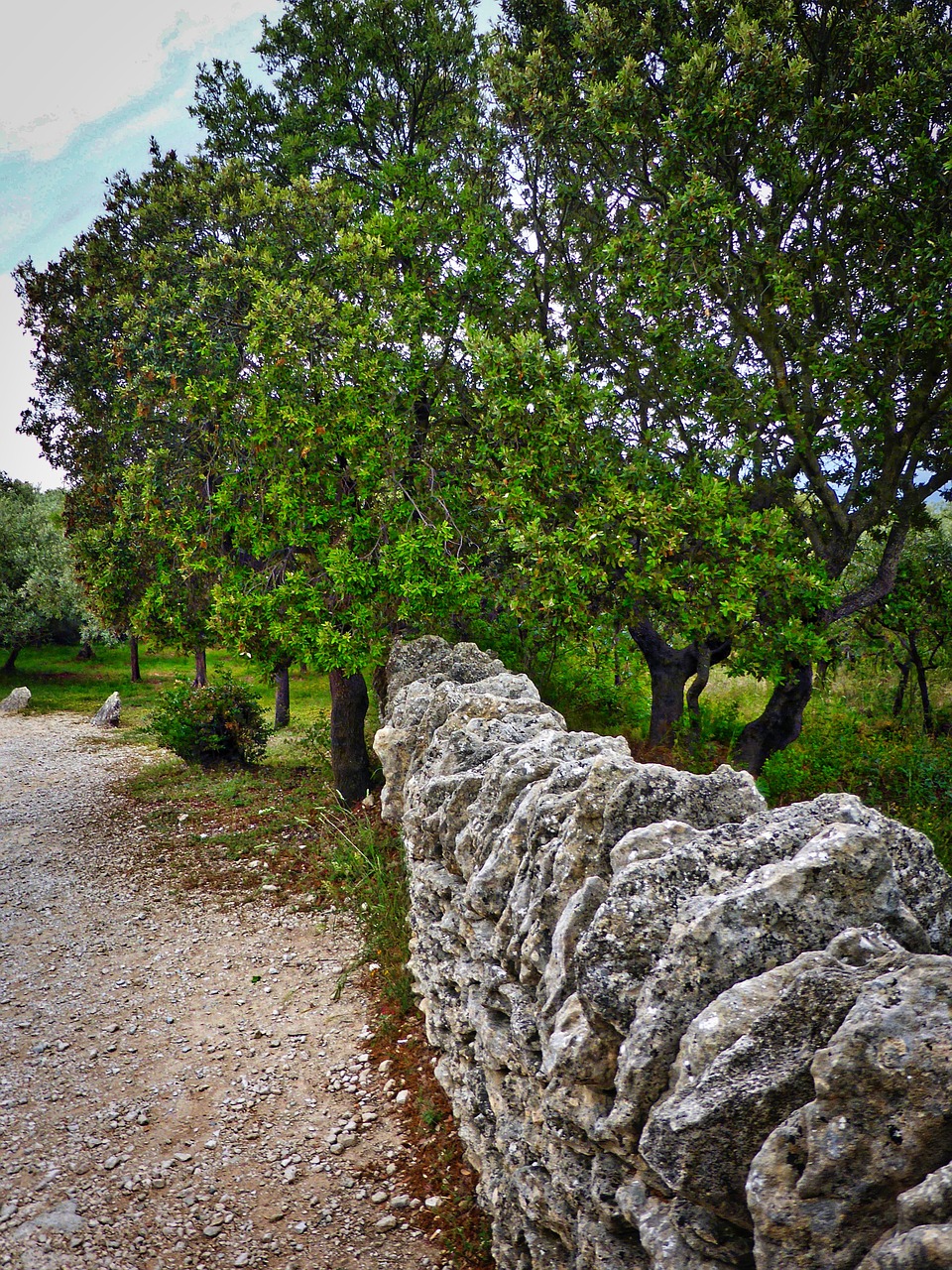 wall stone aged free photo