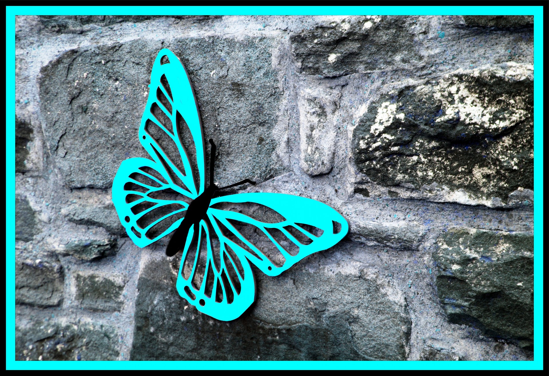 butterfly wall stone free photo