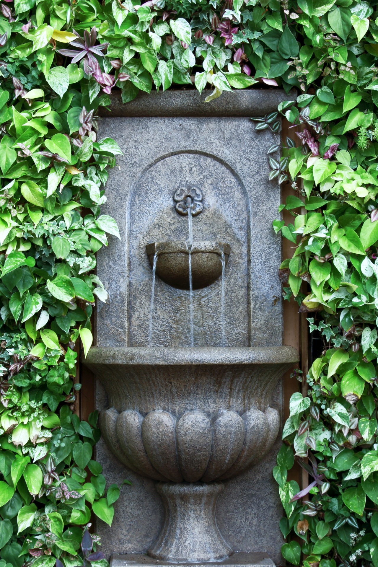 fountain wall fountain greenery free photo