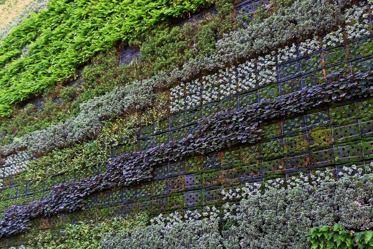 wall of plants wall green free photo