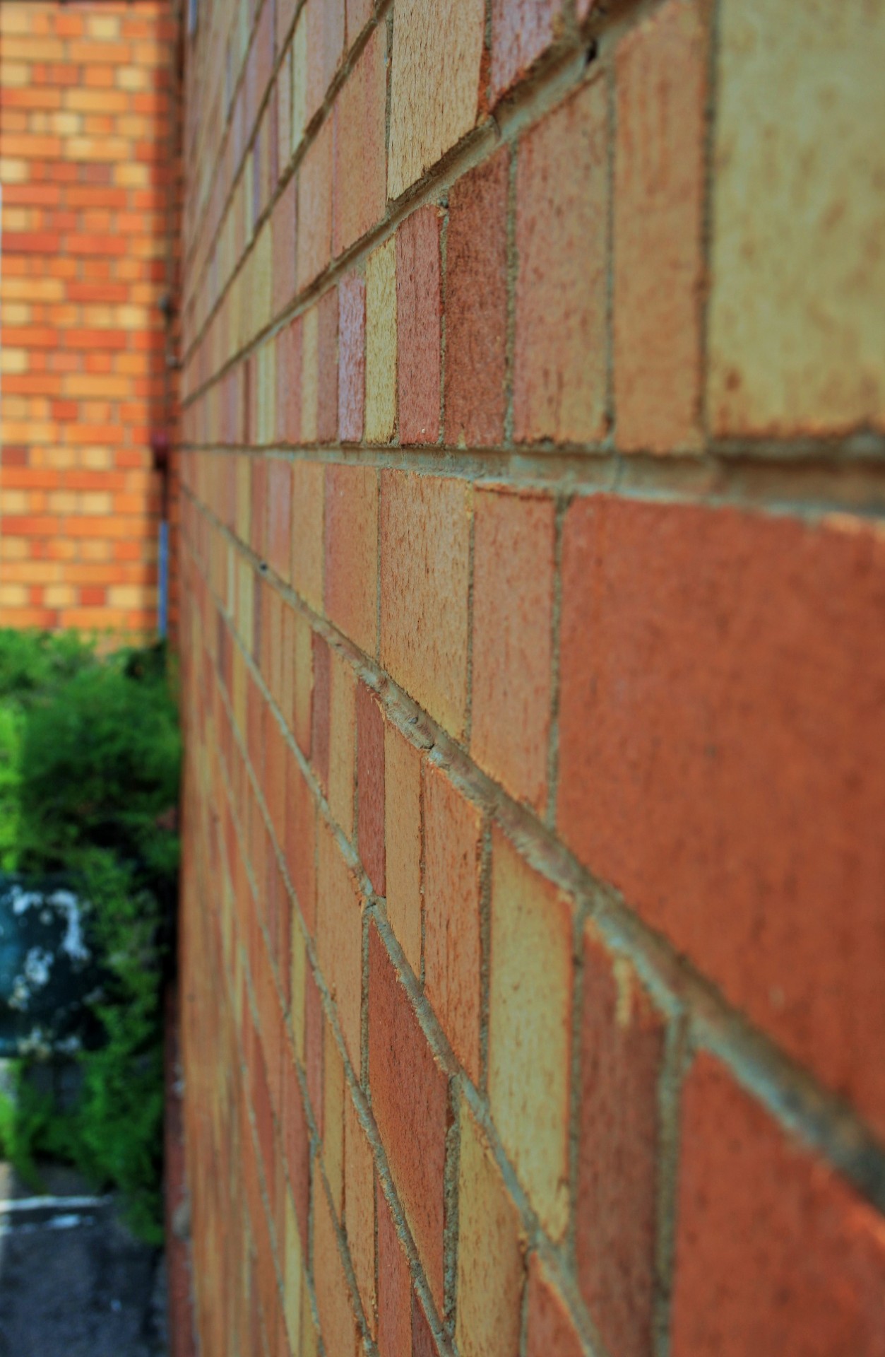 wall bricks yellow free photo