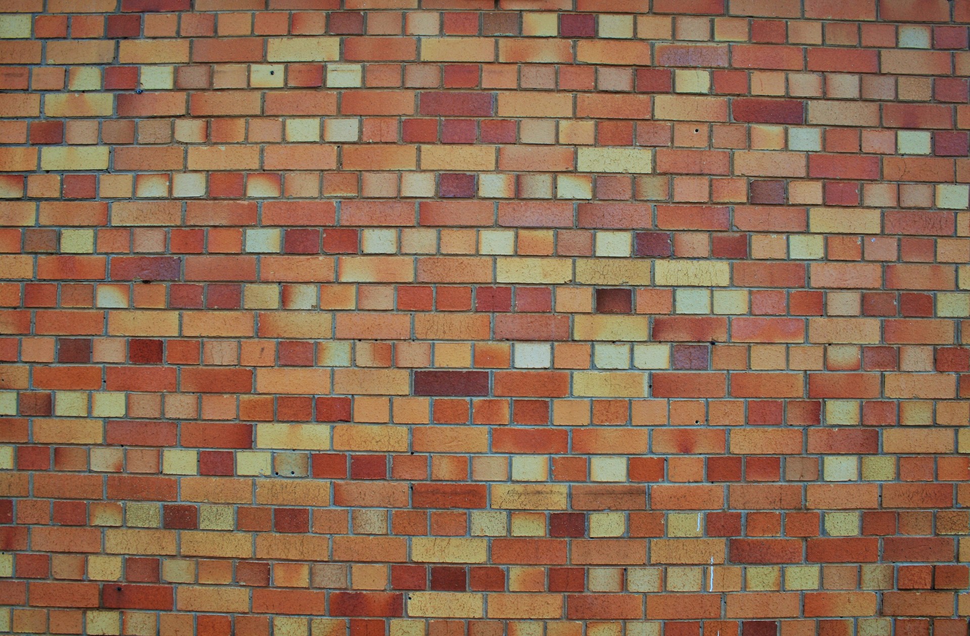 wall bricks yellow free photo