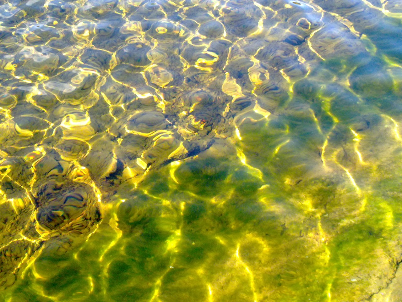 wallersee clear water reflections free photo