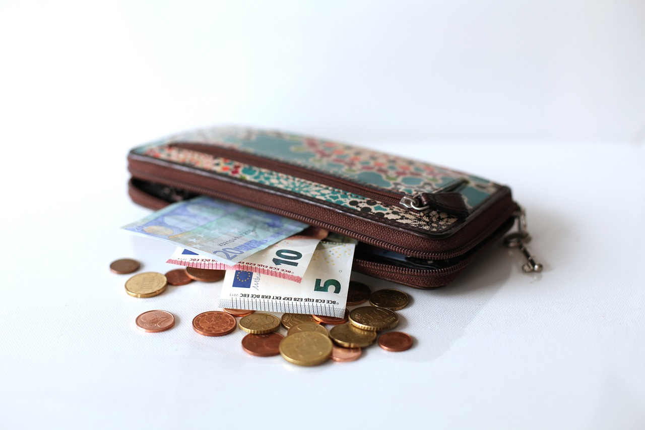 wallet money euro free photo