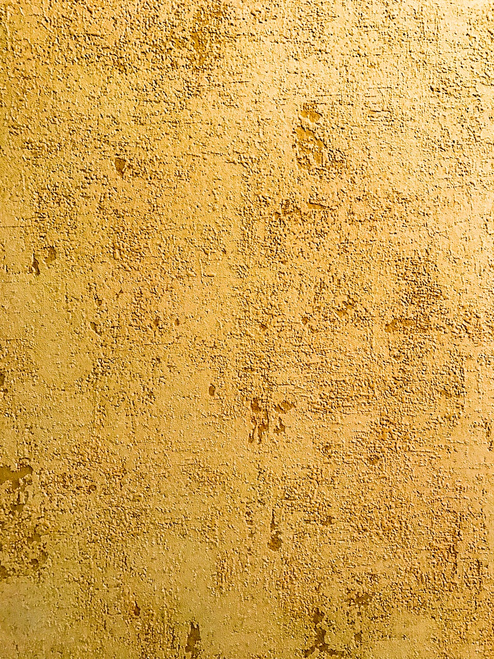 wallpaper window yellow free photo