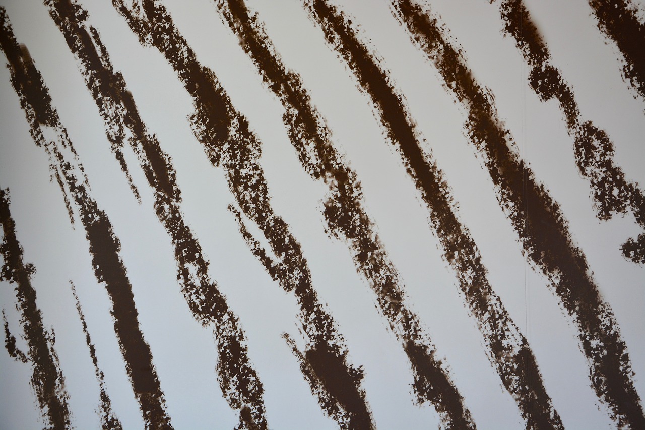 wallpaper paper pattern zebra stripes black free photo