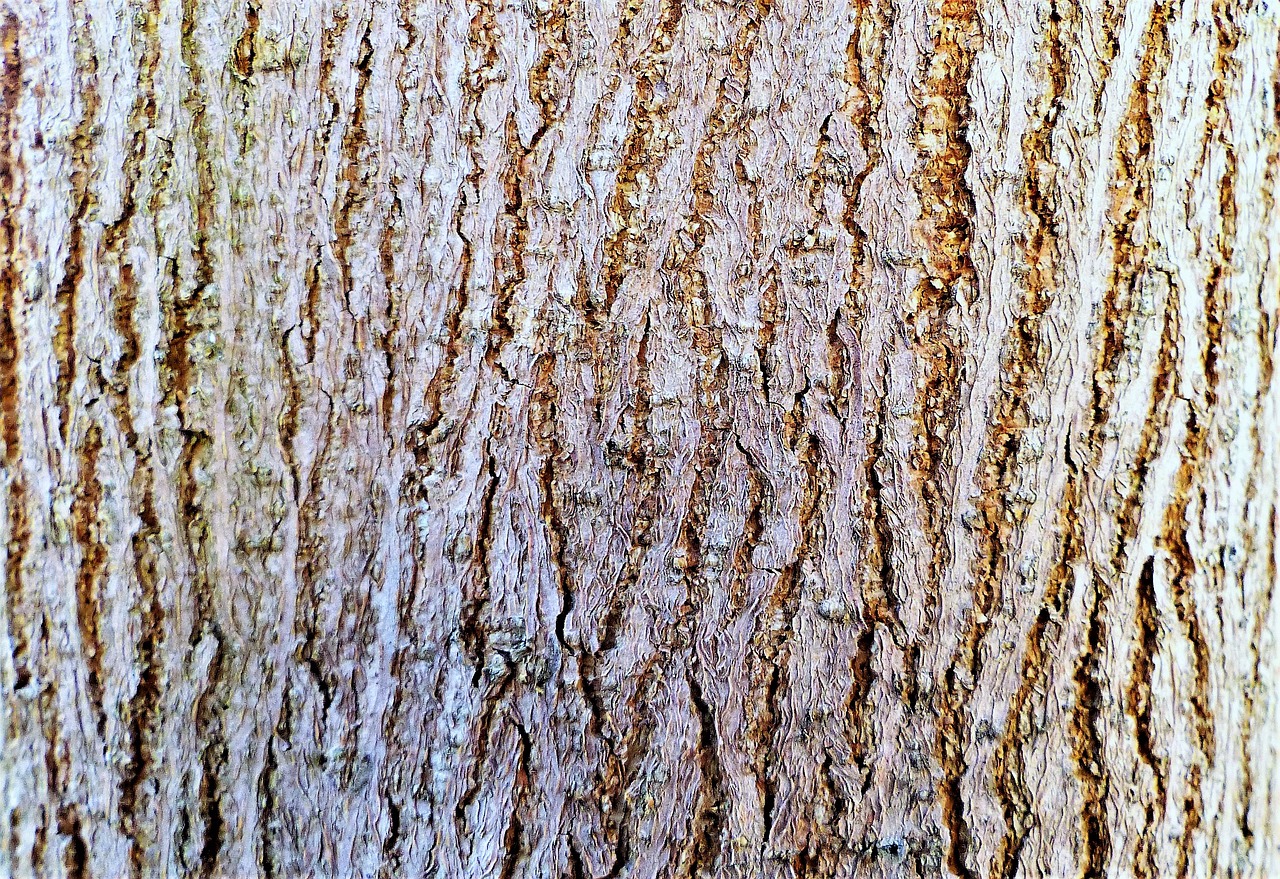 Волокнистая кора дерева