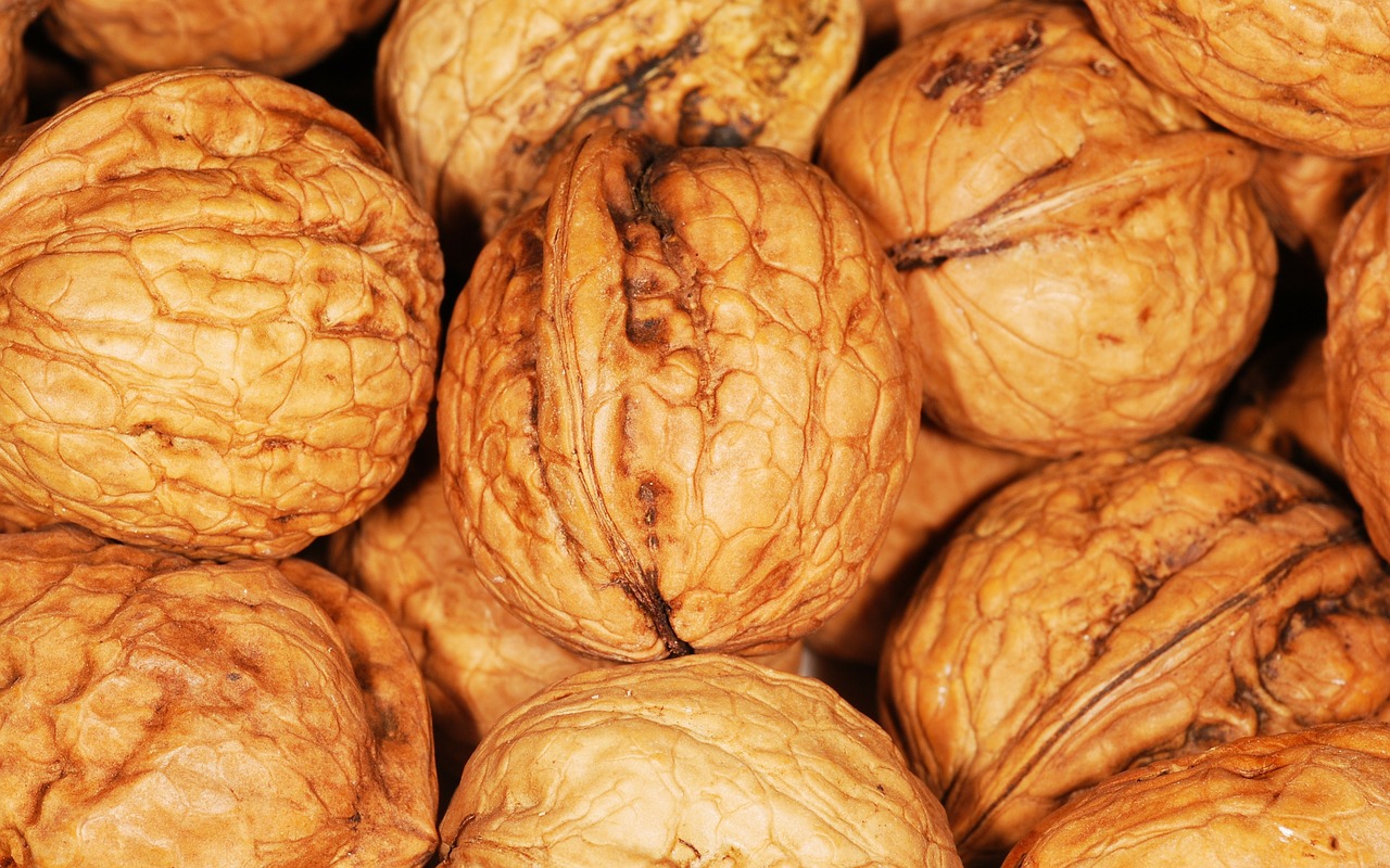 walnut walnuts nuts free photo