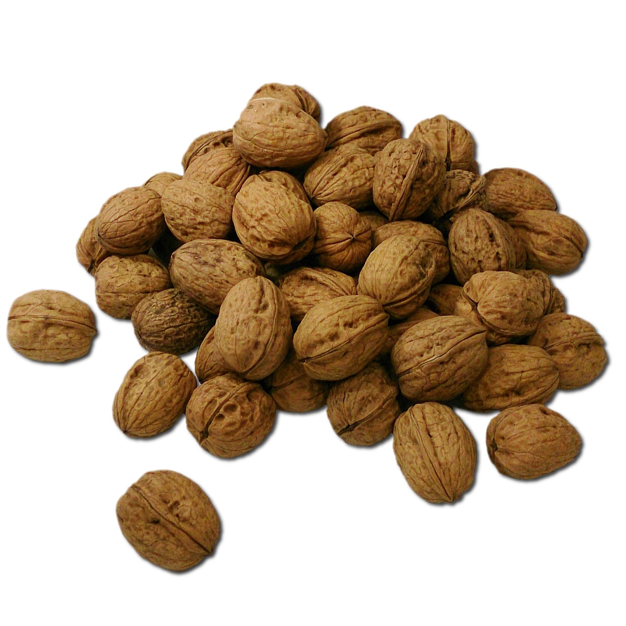 walnut walnuts nuts free photo