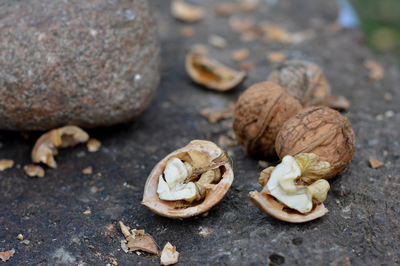 nuts cloven peel free photo