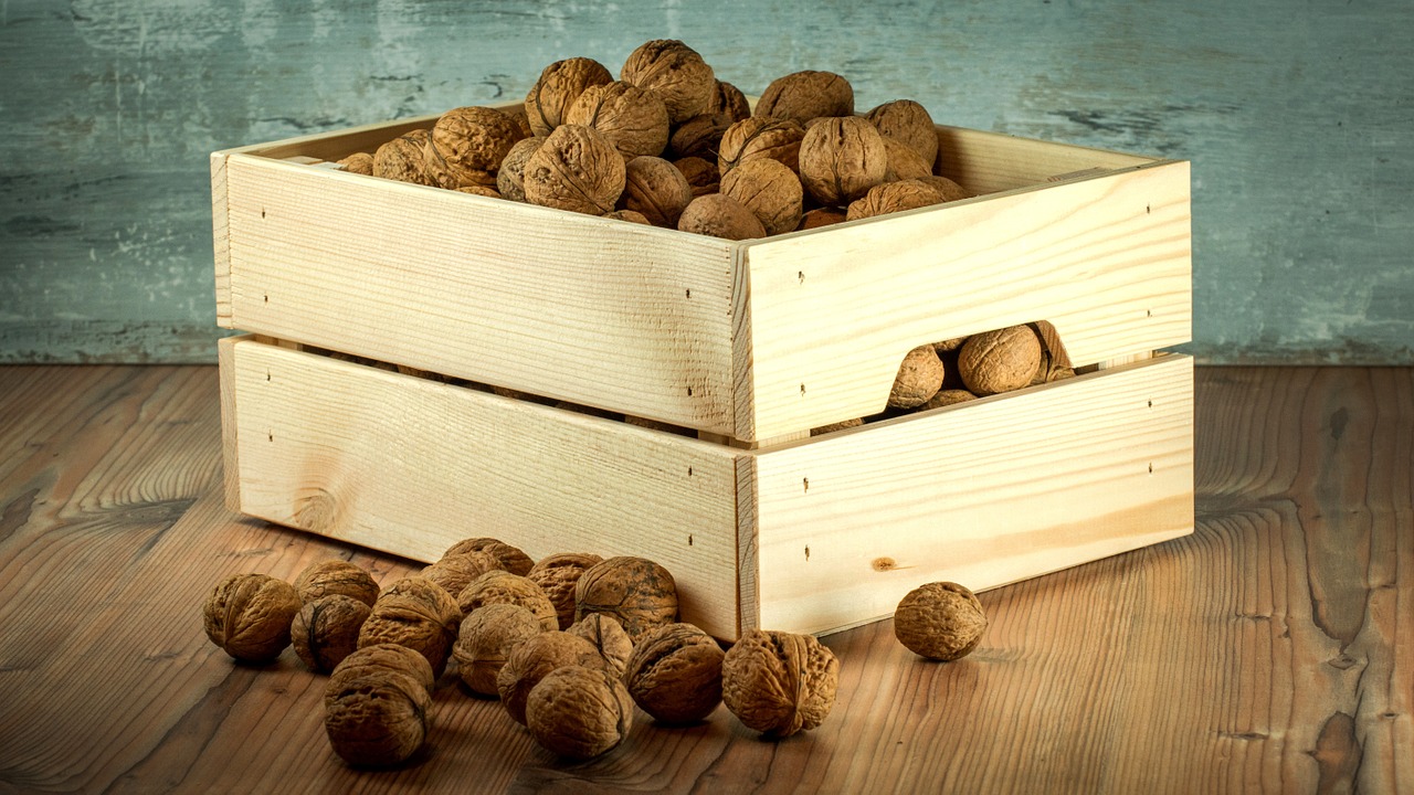 nuts crop wooden free photo