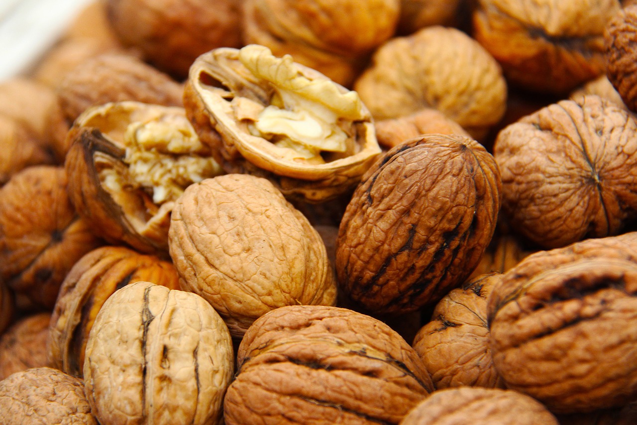 walnuts fresh shell free photo