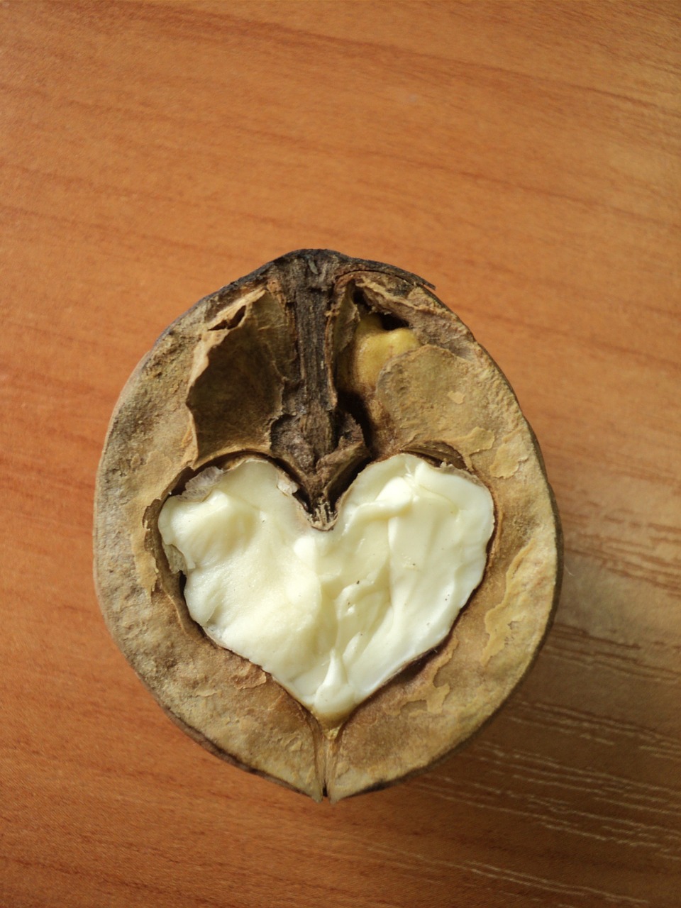 walnut heart greek free photo