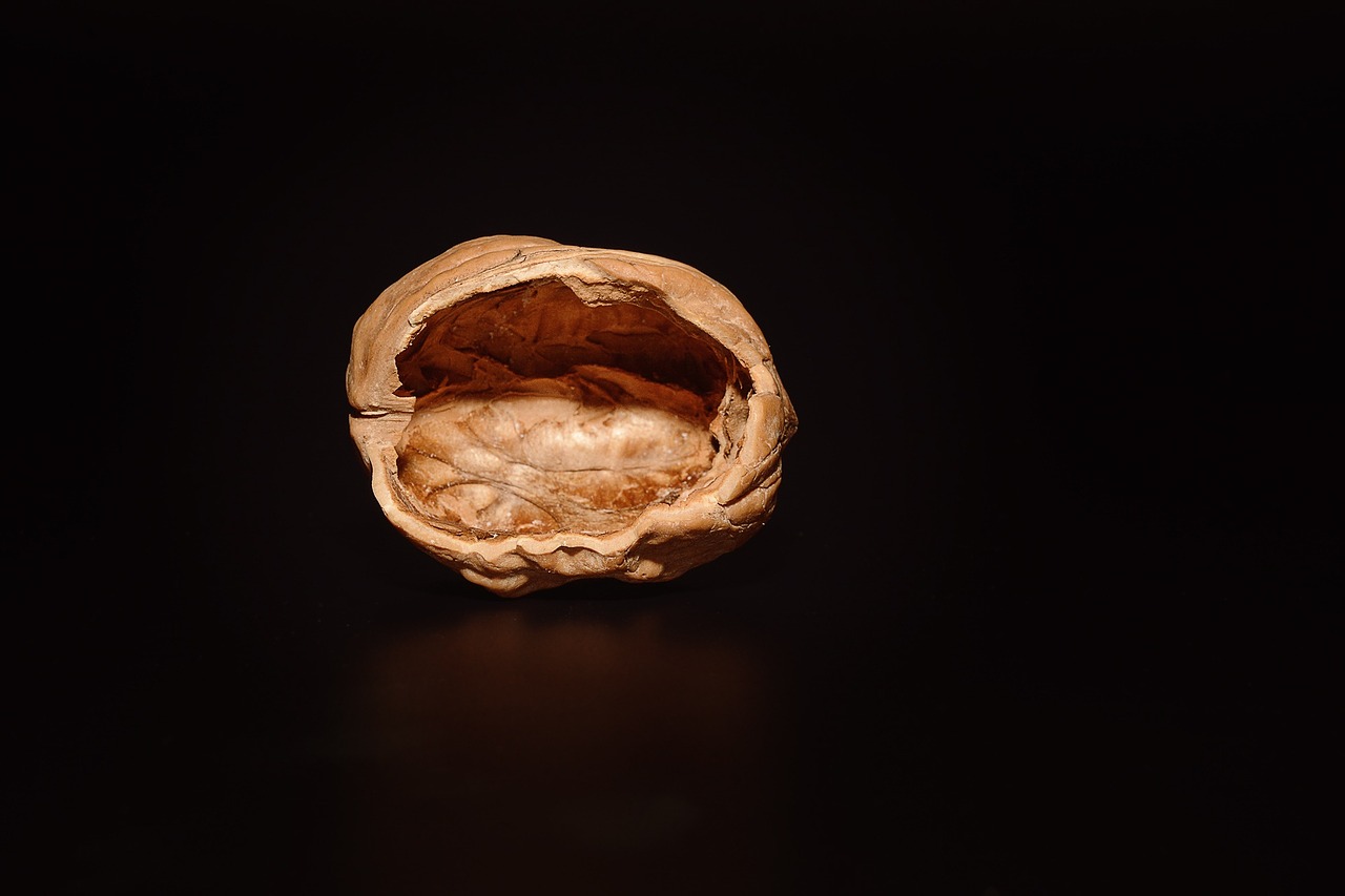 walnut empty open free photo