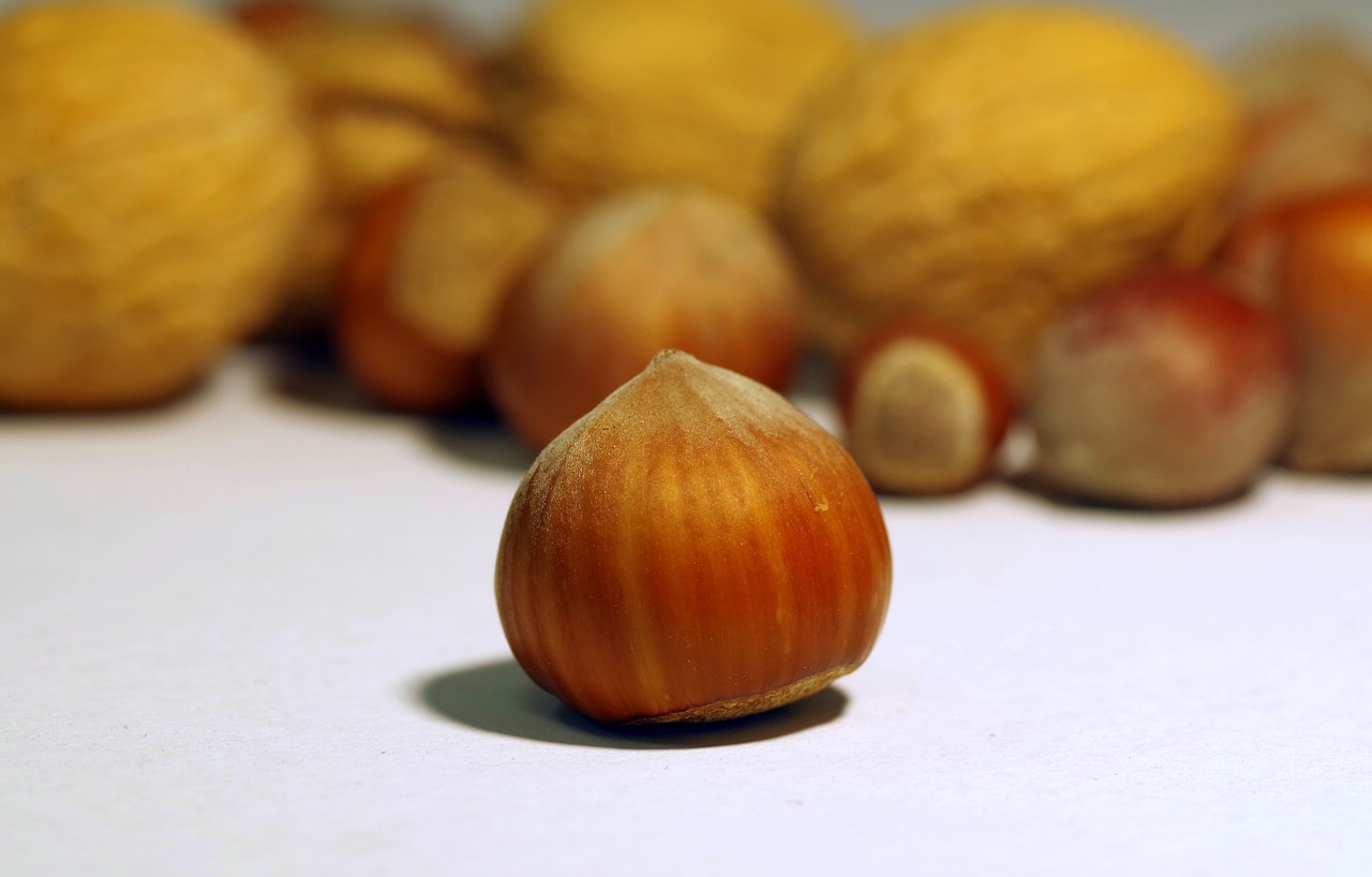 walnut italian cane free photo