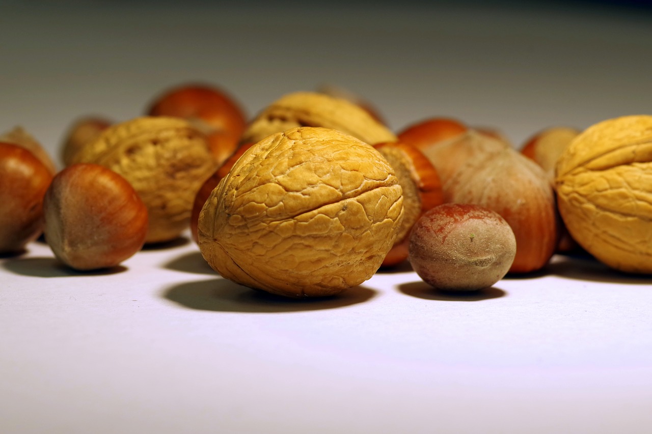 walnut italian cane free photo
