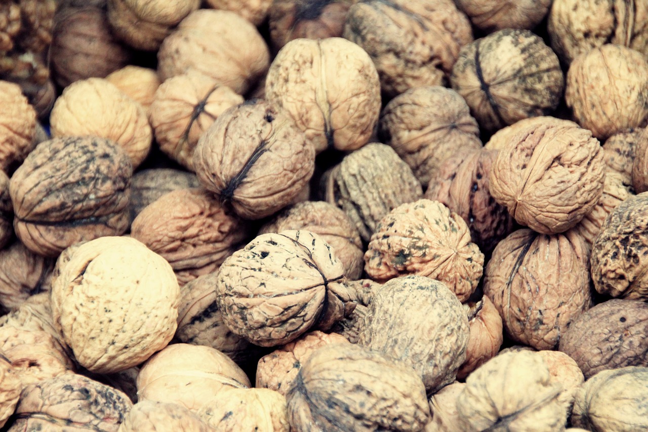 walnut walnuts food free photo