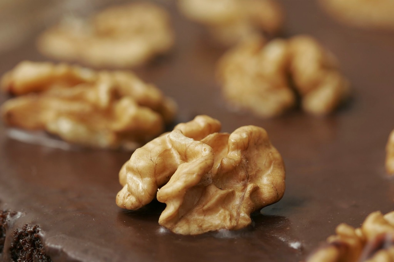 walnut nuts chocolate free photo