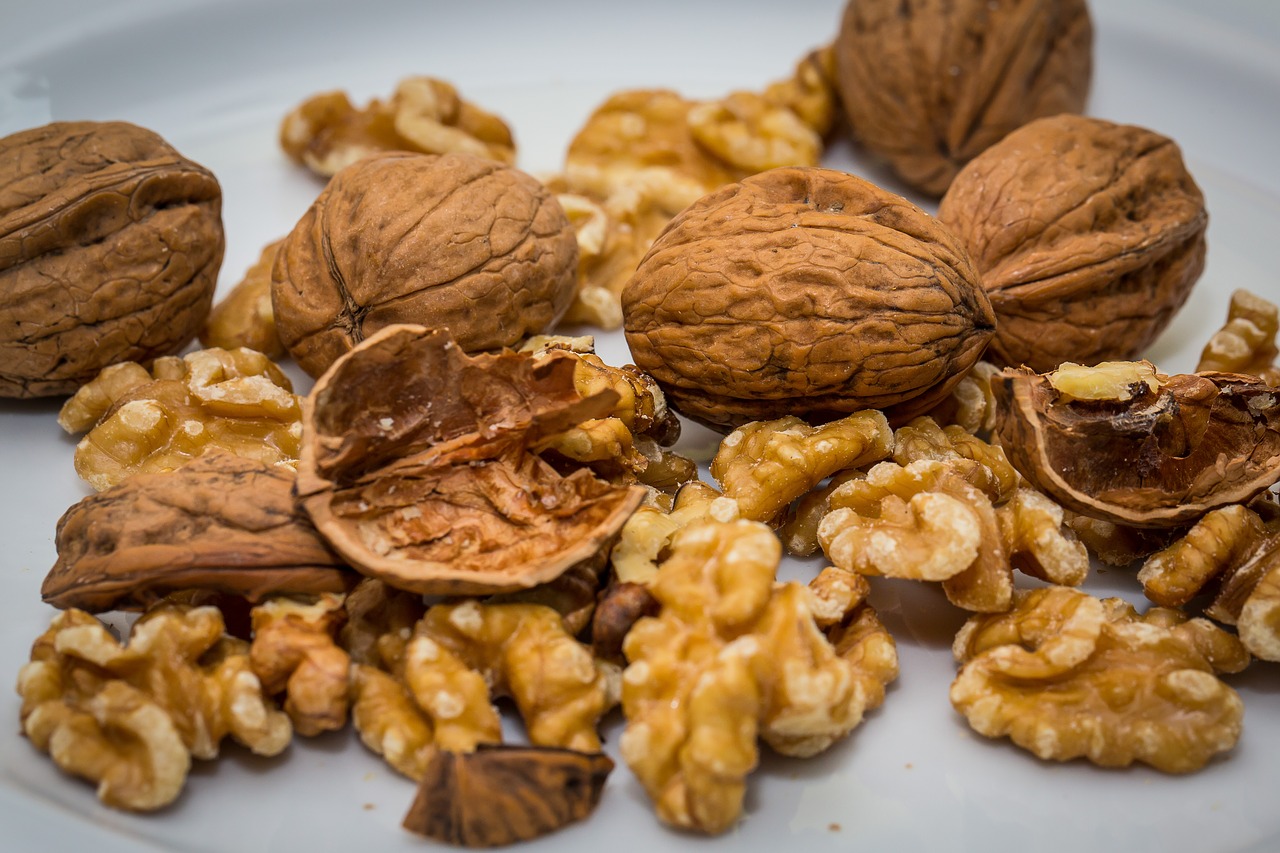 walnut nut walnuts free photo