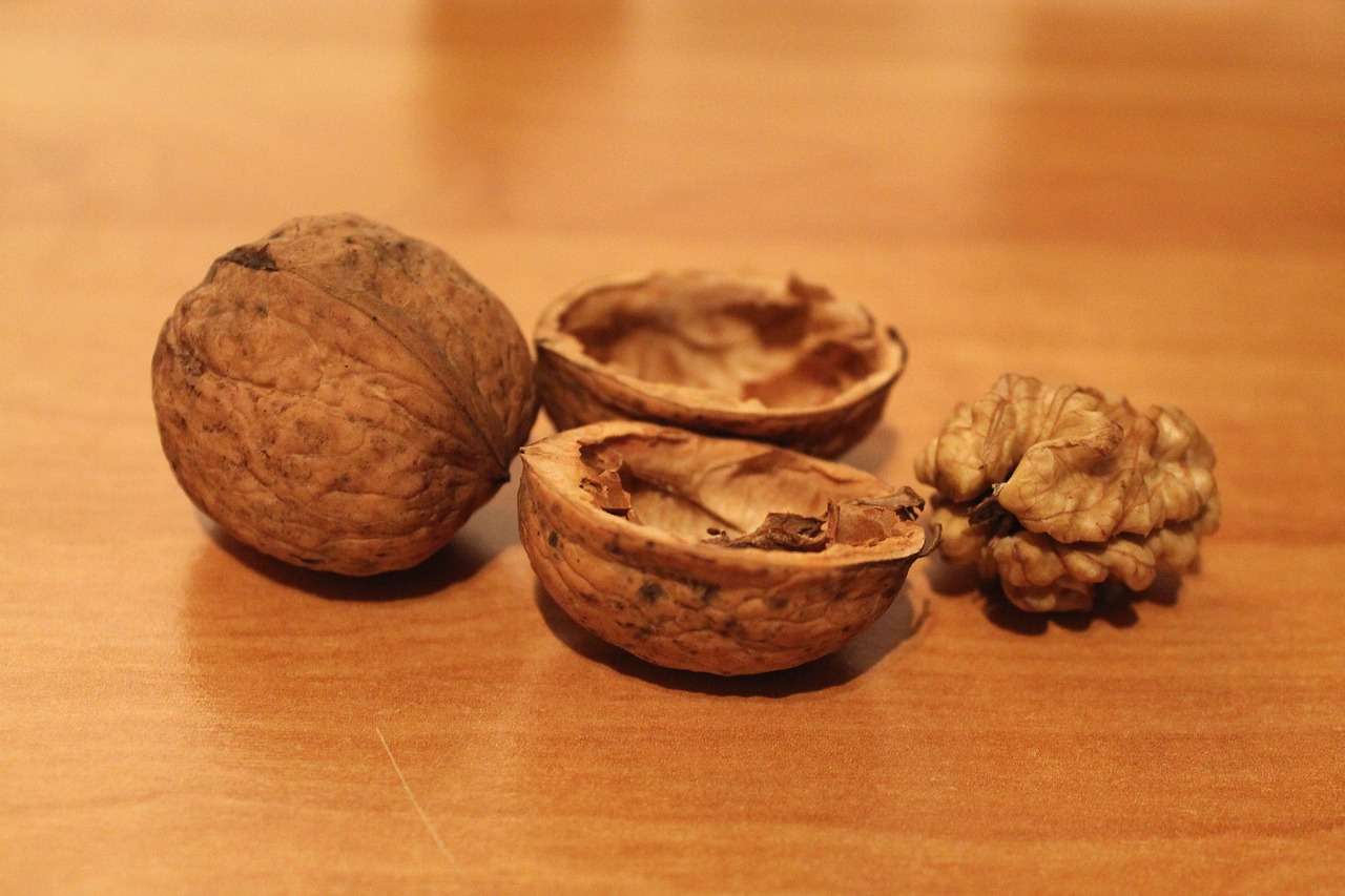 walnut walnuts cut in half free photo