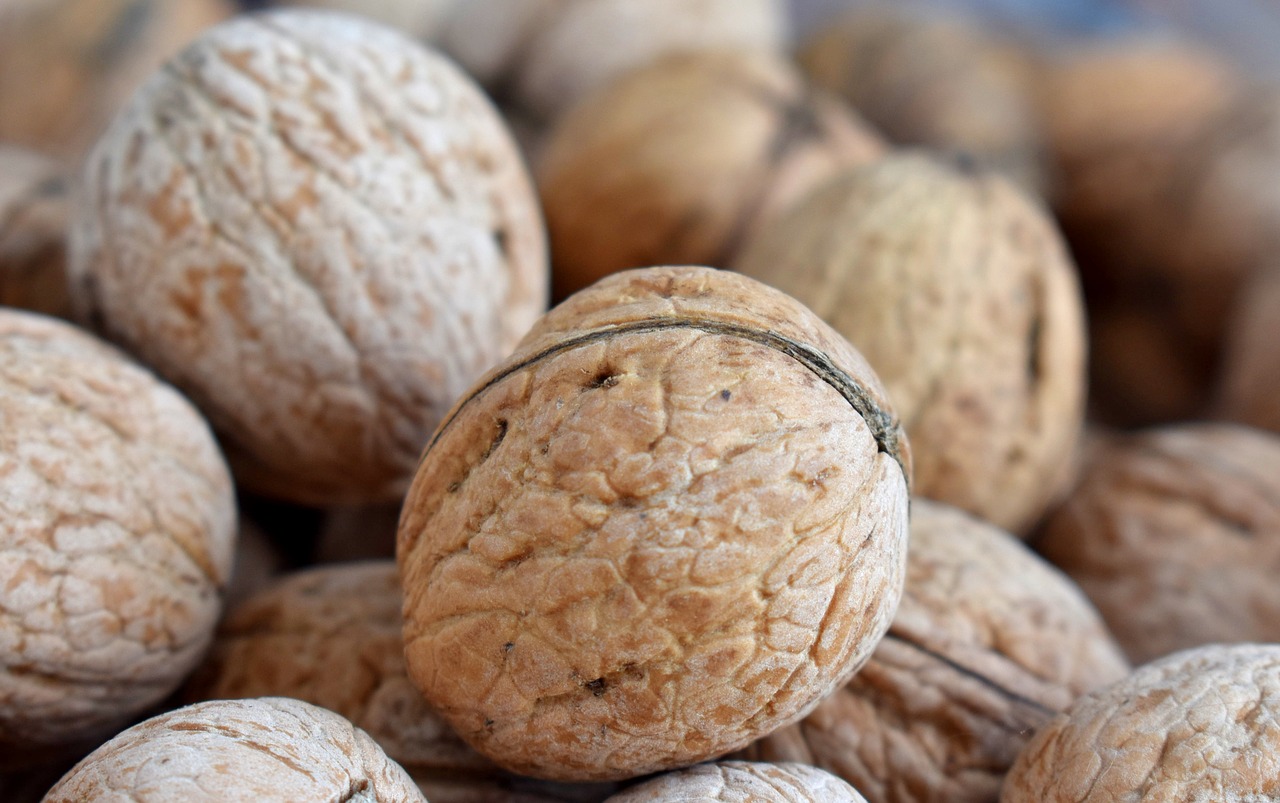 walnut  greek  healthy free photo