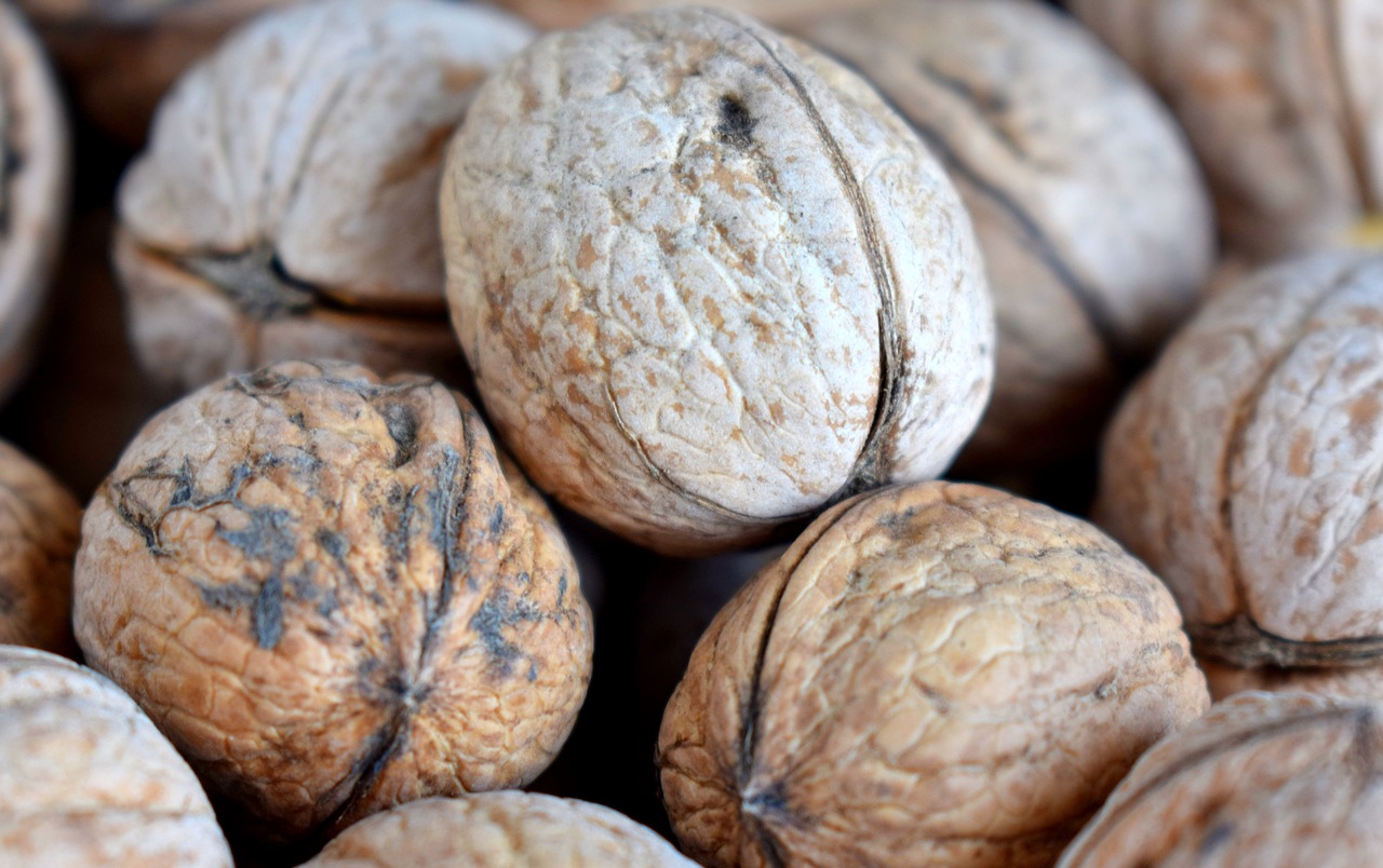 walnut  greek  healthy free photo