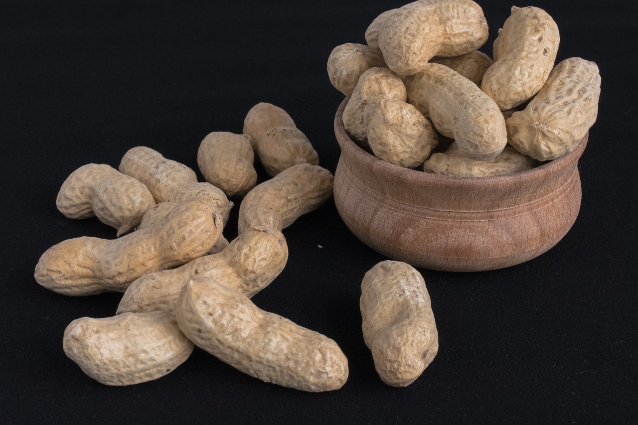 walnut  nuts  peanuts free photo