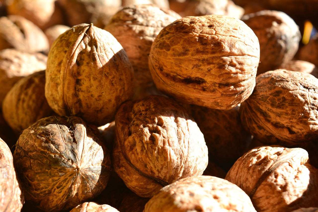 walnut  detail  foodstuffs free photo