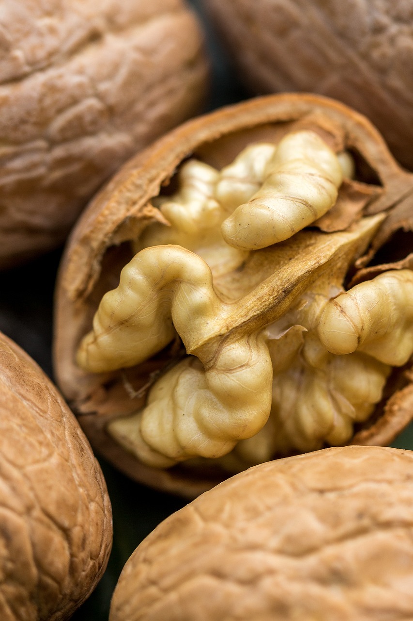 walnut  nut  flora free photo