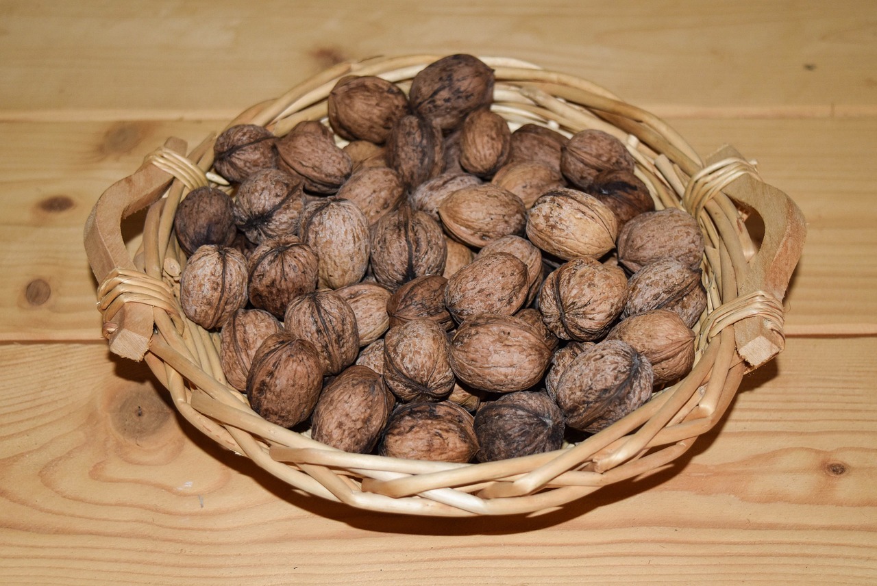 walnut  walnuts  food free photo