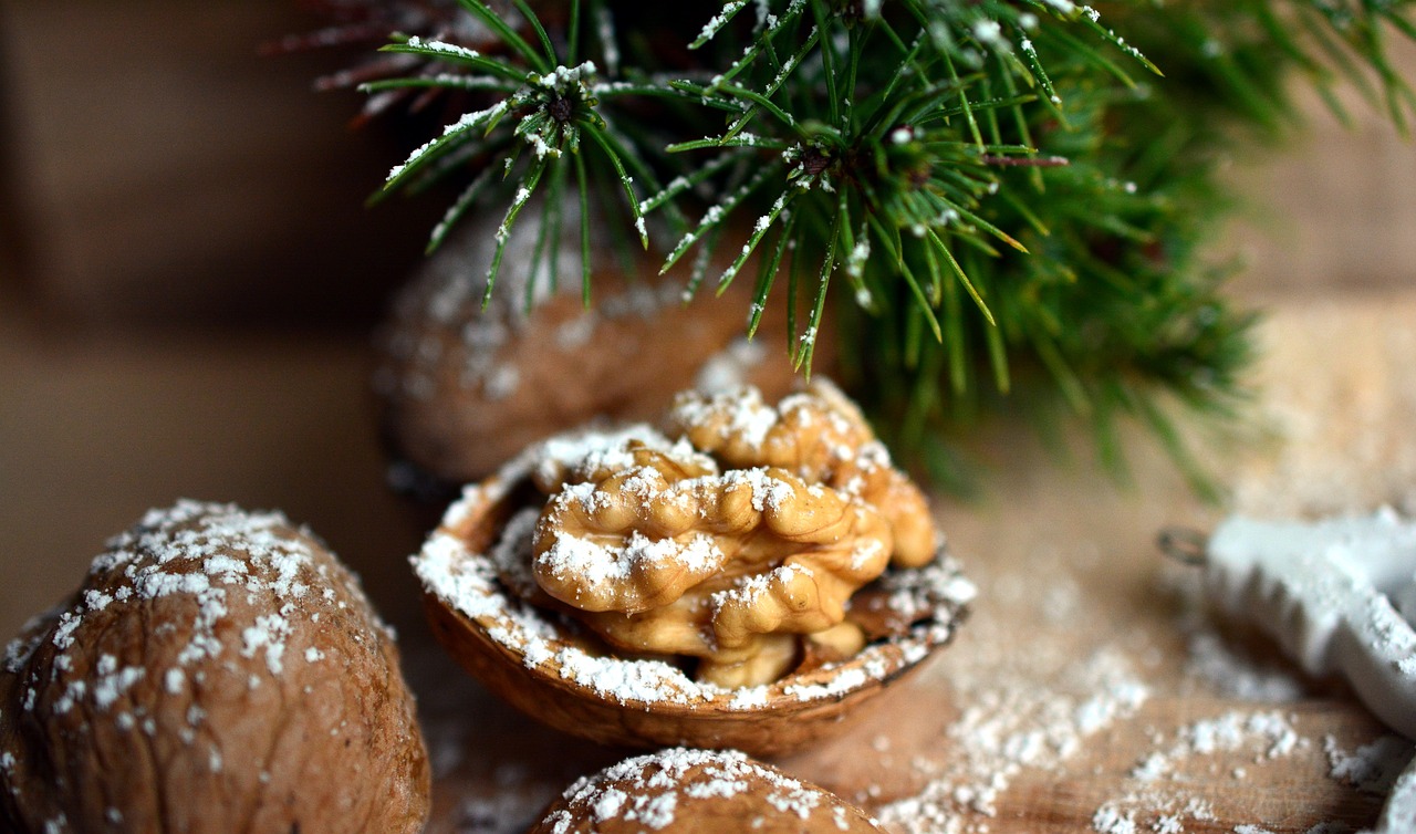 walnut  nut  christmas motif free photo