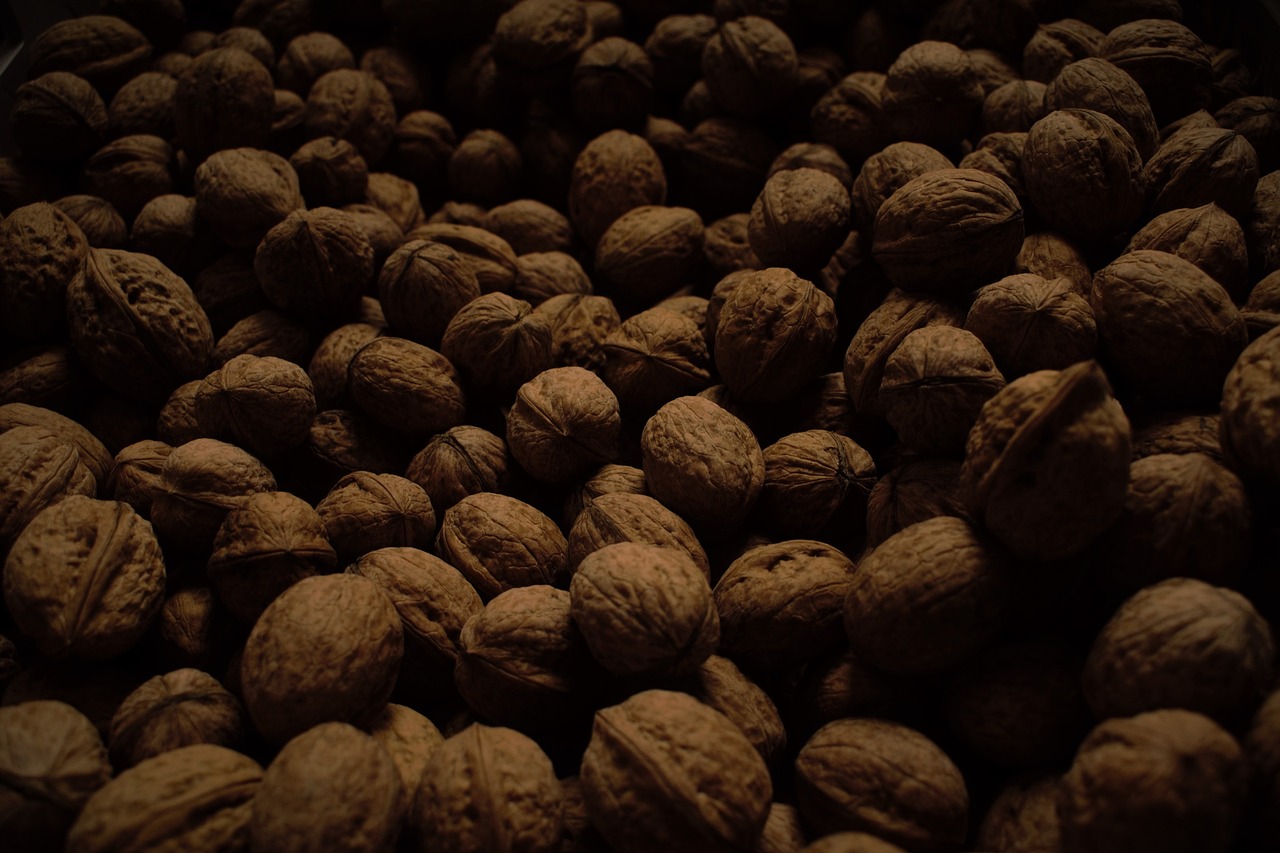 walnut  nuts  walnuts free photo