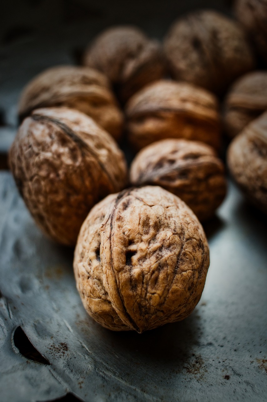 walnut  shell  nuts free photo