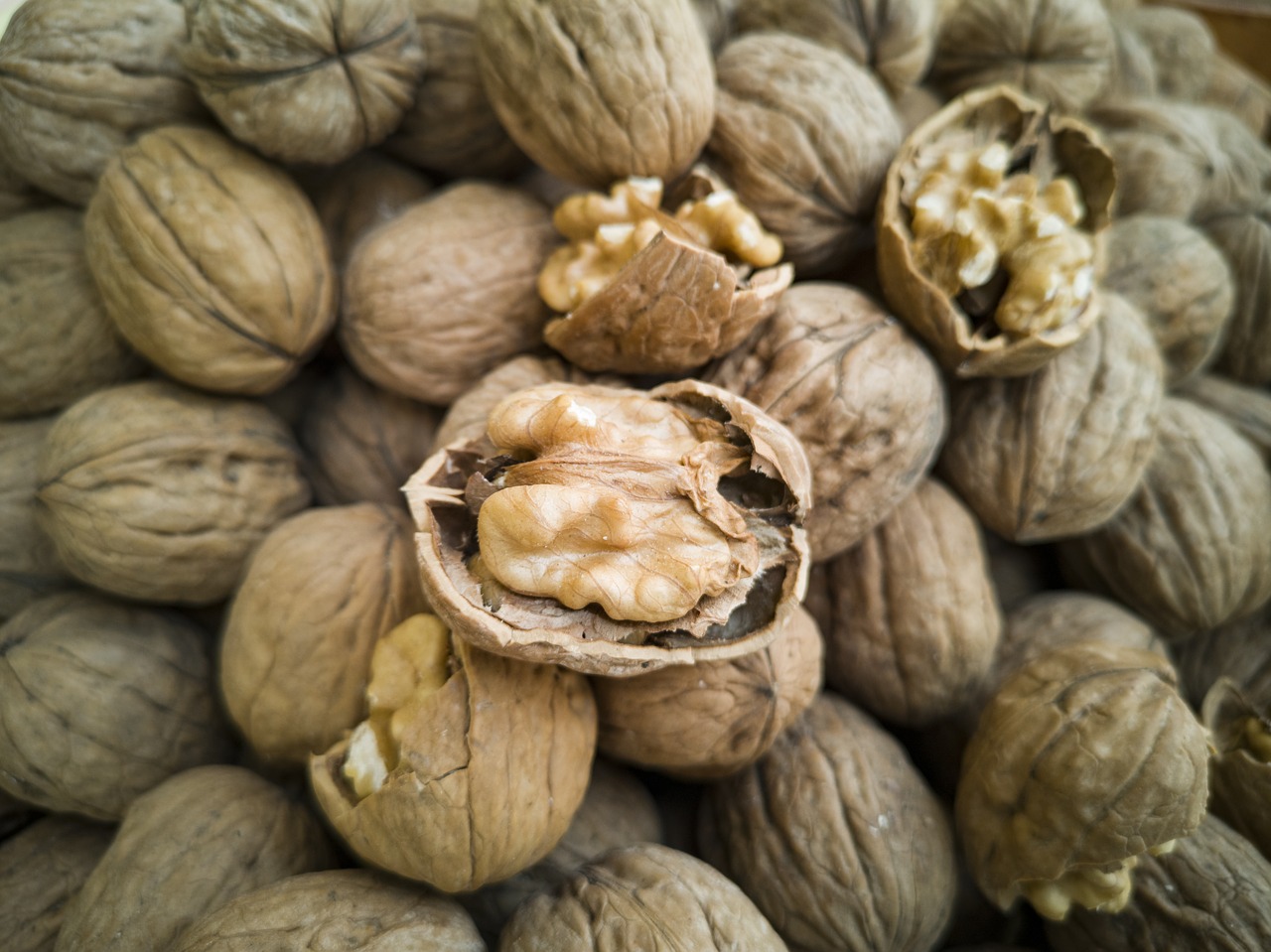 walnut  dried fruits and nuts  shell free photo