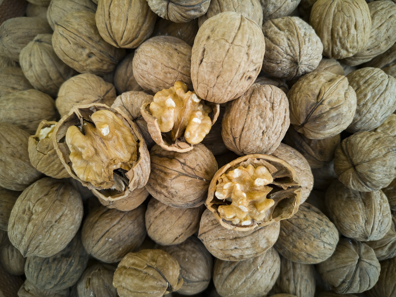 walnut  dried fruits and nuts  shelled free photo