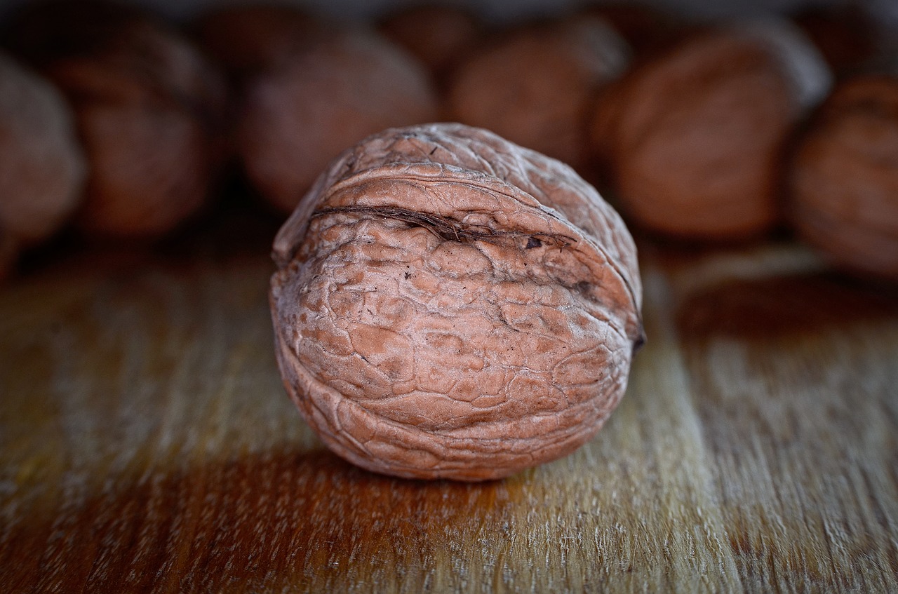 walnut  healthy  delicious free photo