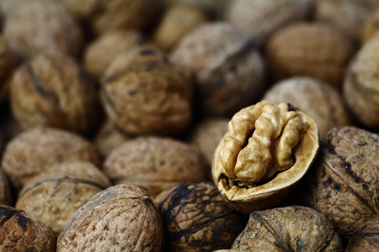 walnut  walnuts  nuts free photo