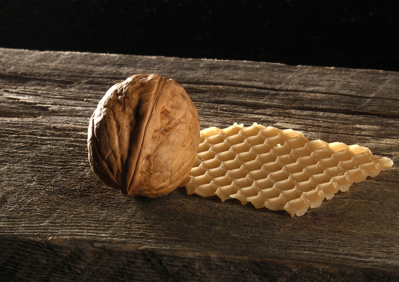 walnut honeycomb wood free photo