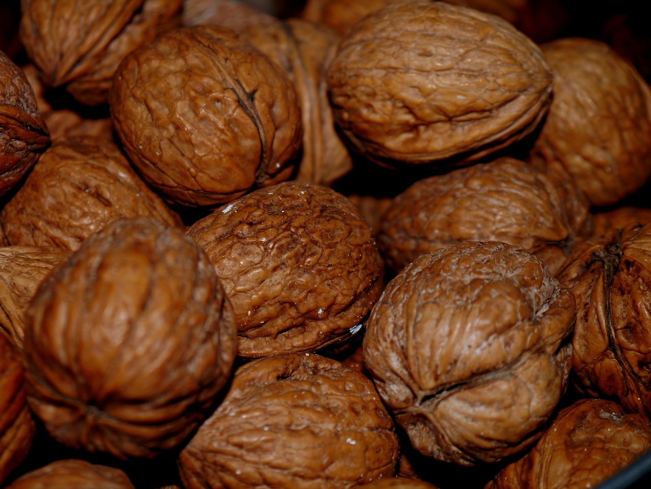 walnut brown nuts free photo