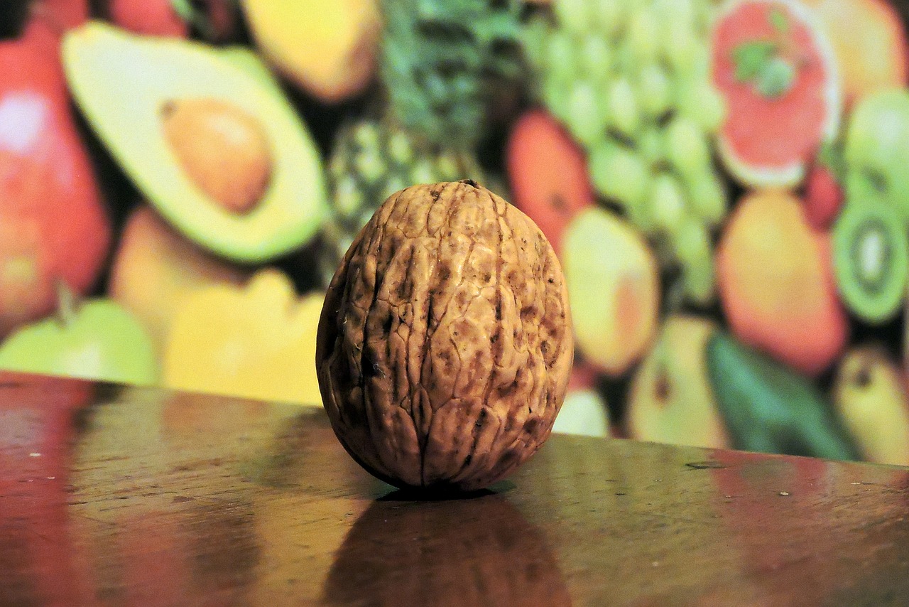 walnut fruit food free photo