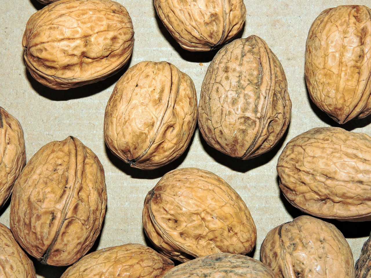 walnut dried fruit food free photo