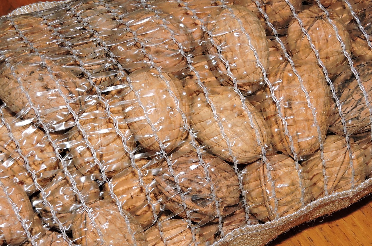 walnut dried fruit network free photo