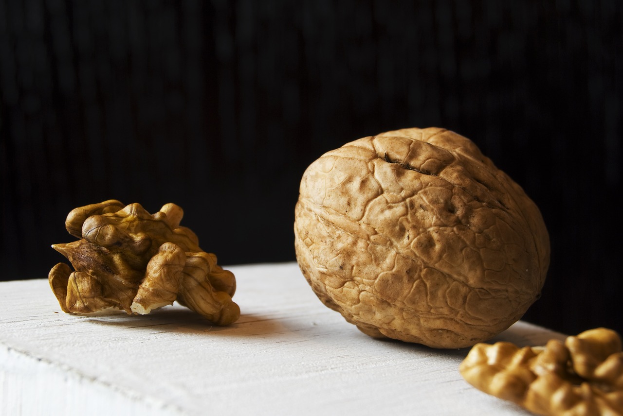 walnut macro nut free photo