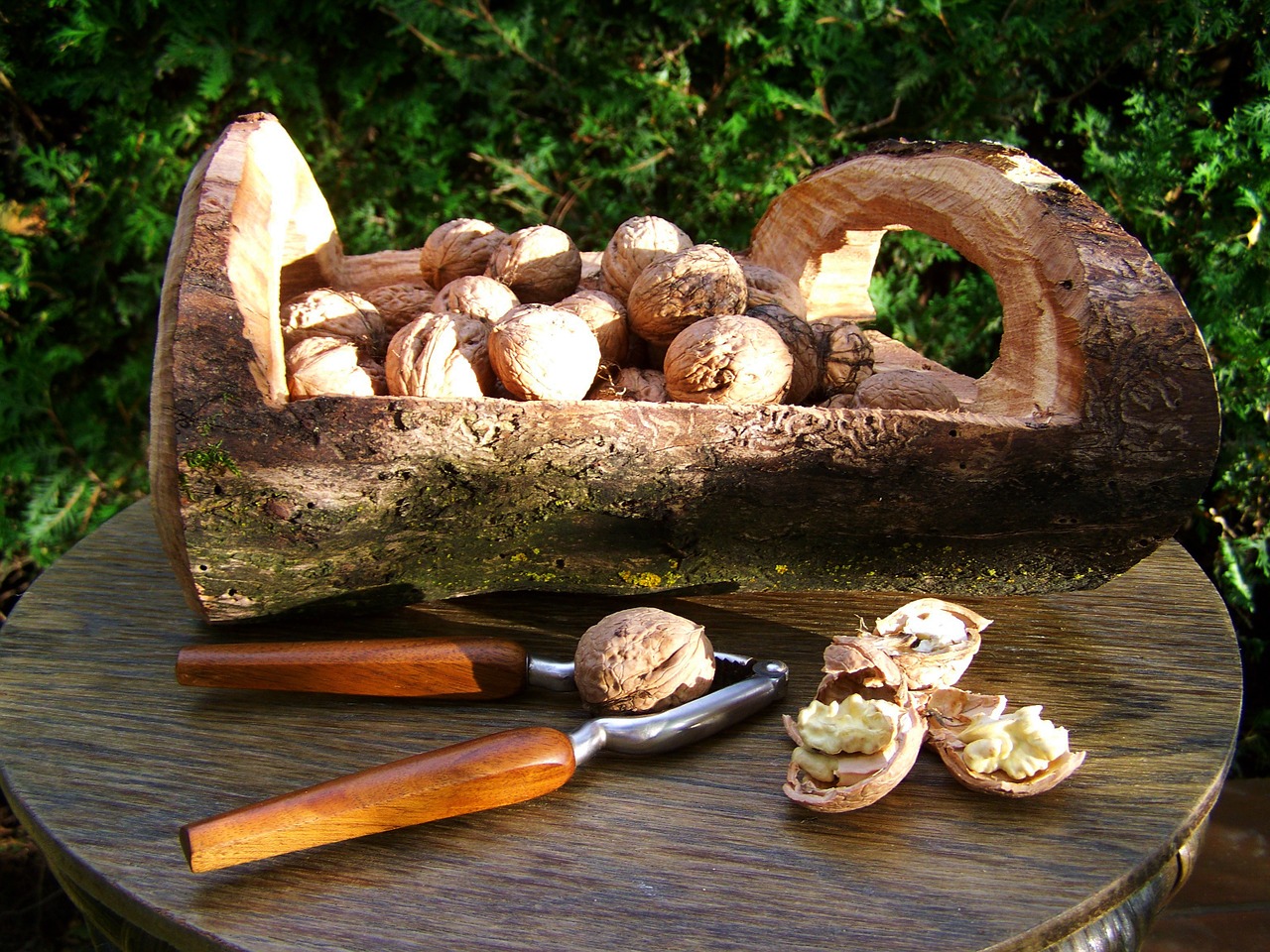 walnut drupe hard-shelled fruits free photo