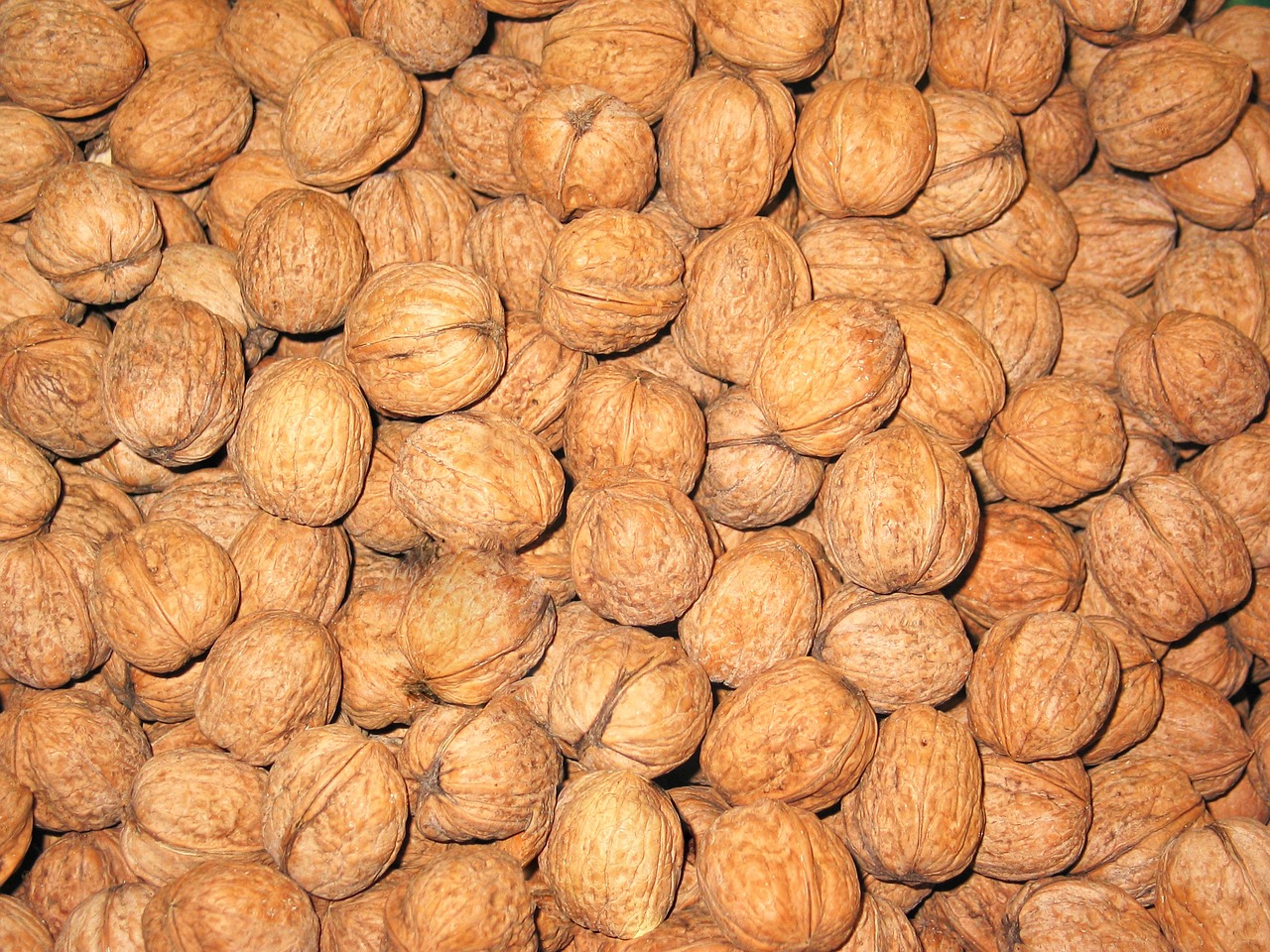 walnuts nuts healthy free photo