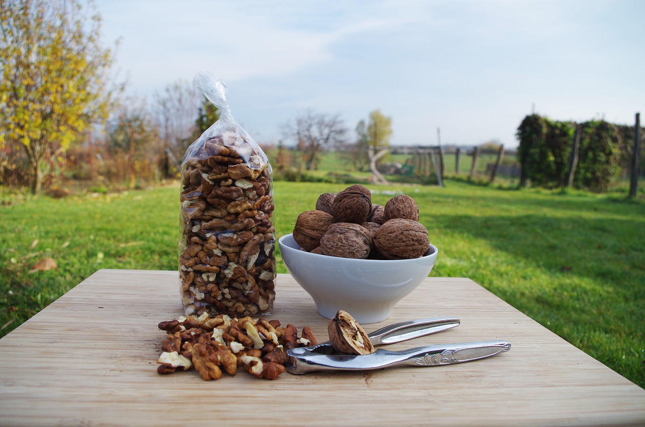 walnuts peeled bowl free photo