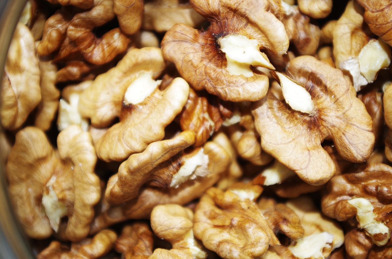 walnuts nuts peeled free photo