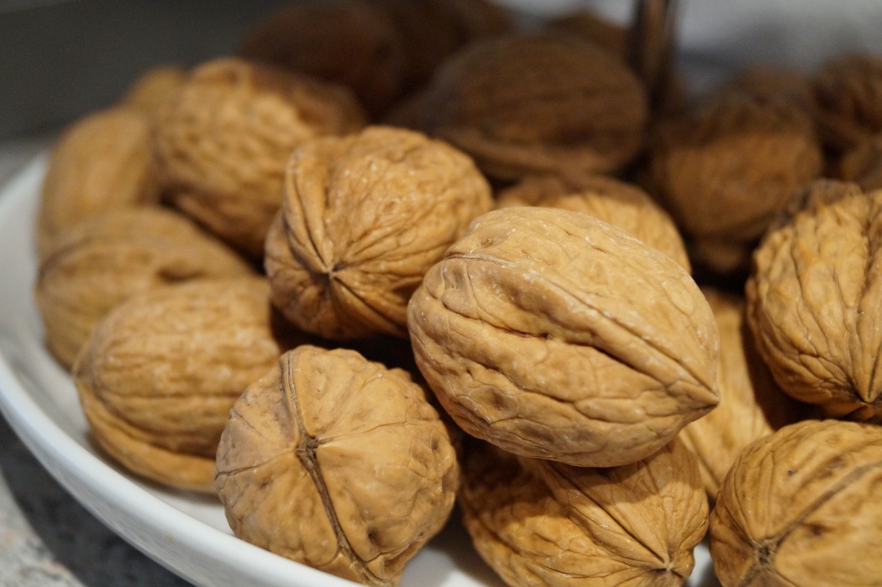 walnuts christmas advent free photo