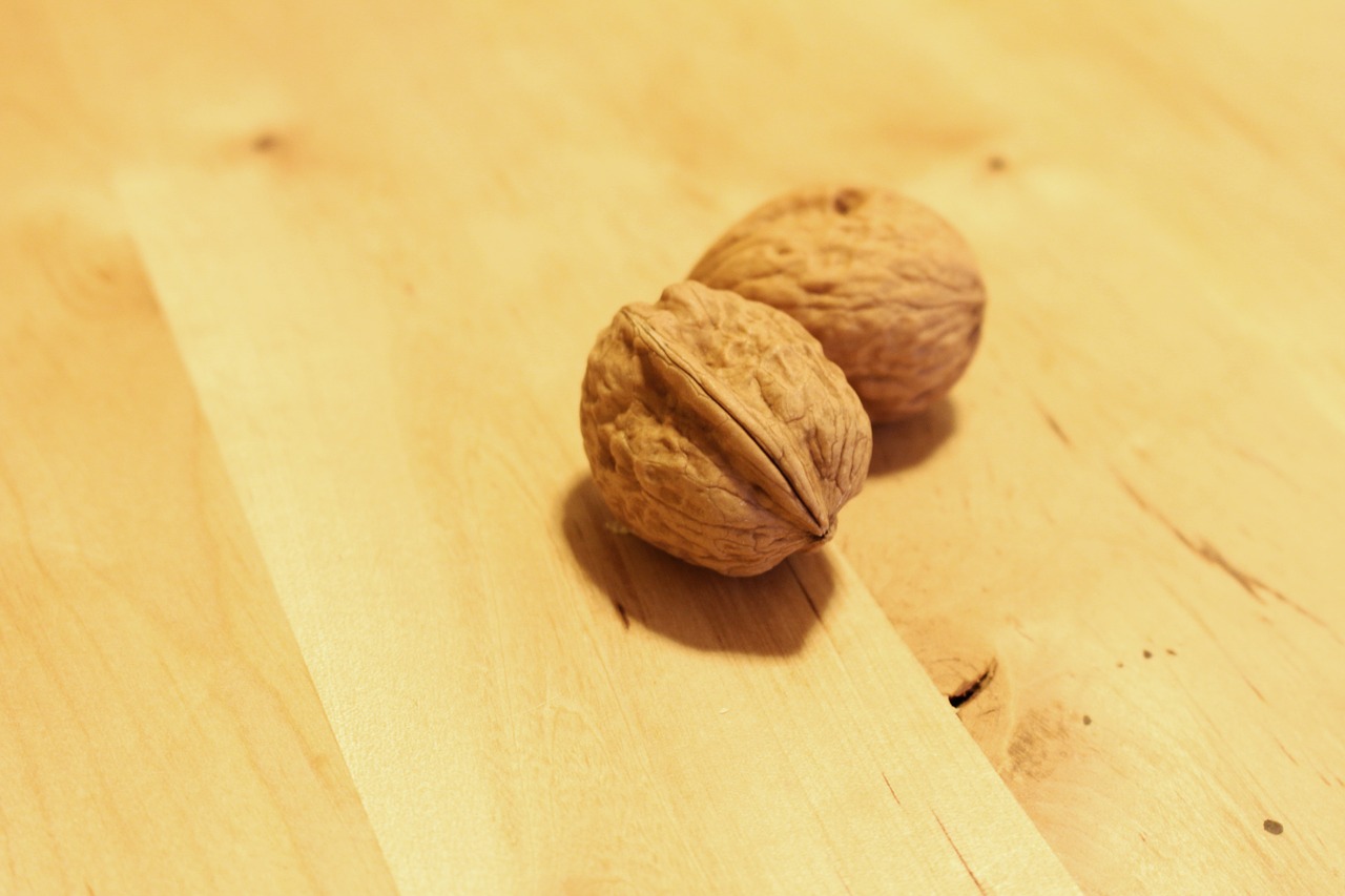 walnuts shell dried fruit free photo