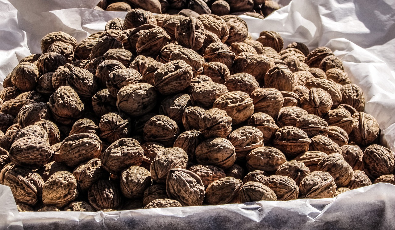 walnuts nuts food free photo